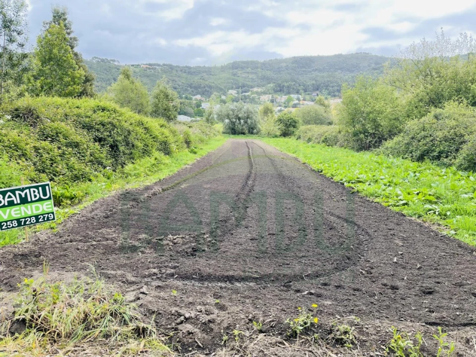 Terreno para Venda em Moledo e Cristelo Foto 1
