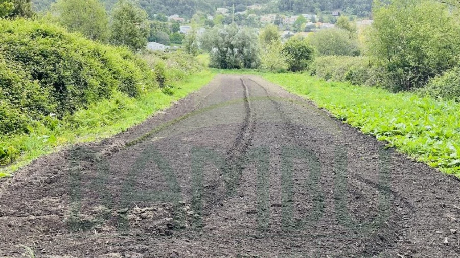 Terreno para Venda em Moledo e Cristelo