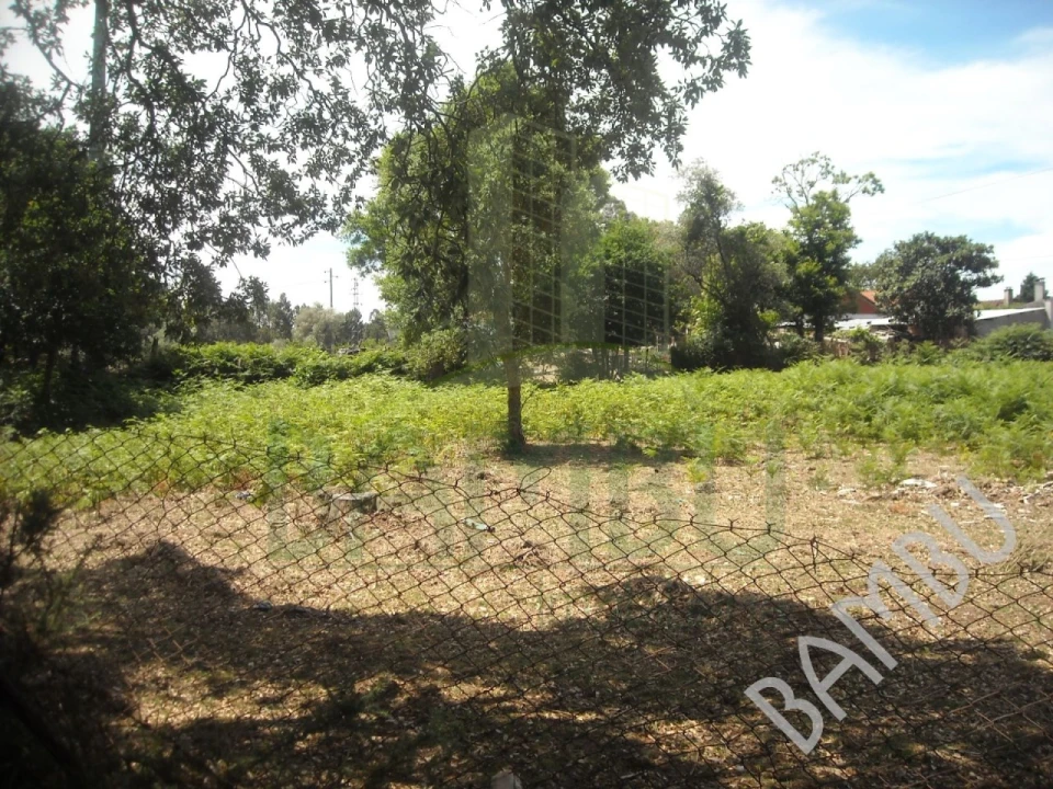 Terreno para Venda em Cerdal Foto 3