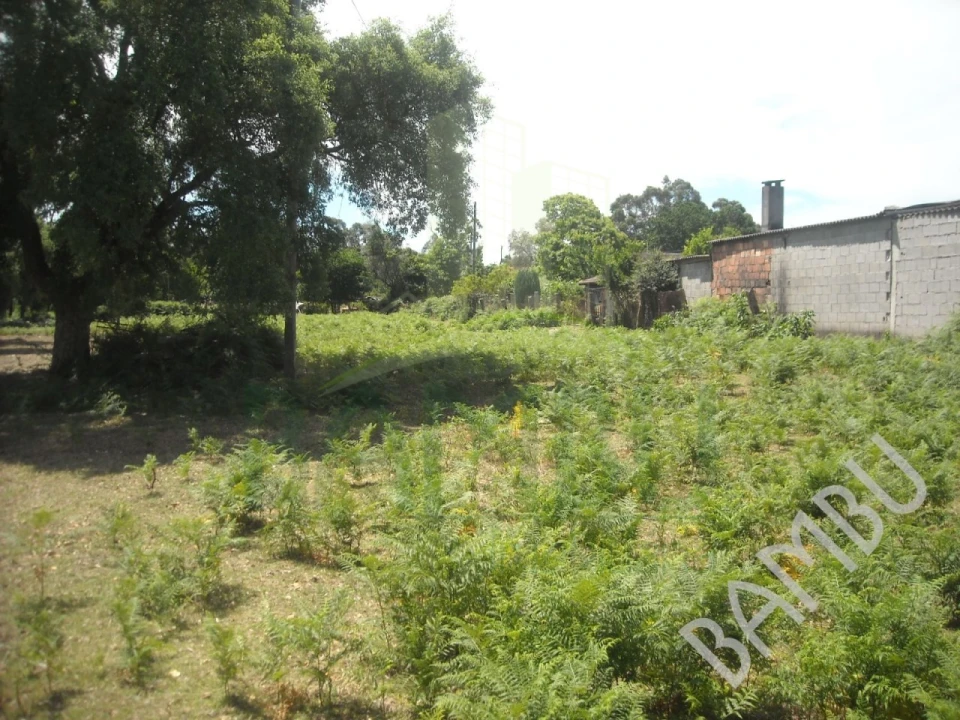 Terreno para Venda em Cerdal Foto 9