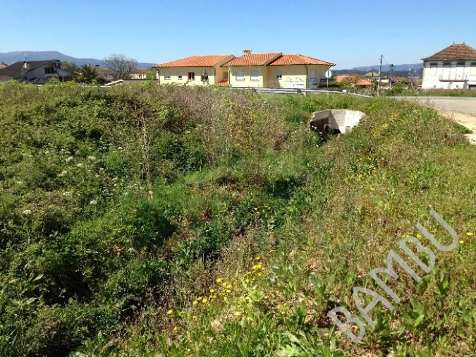 Terreno para Venda em Gandra e Taião Foto 2