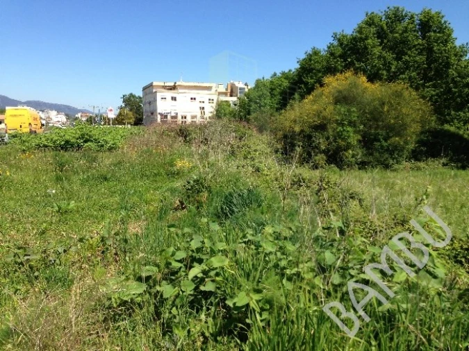 Terreno para Venda em Gandra e Taião Foto 5