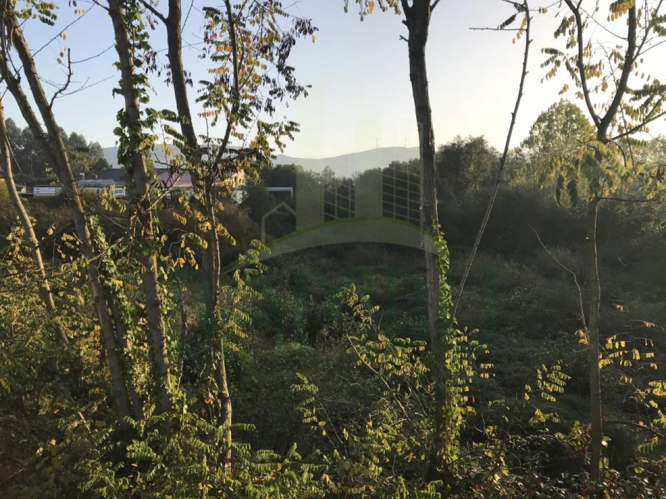 Terreno para Venda em Gandra e Taião Foto 5