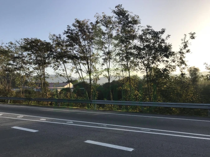 Terreno para Venda em Gandra e Taião Foto 4