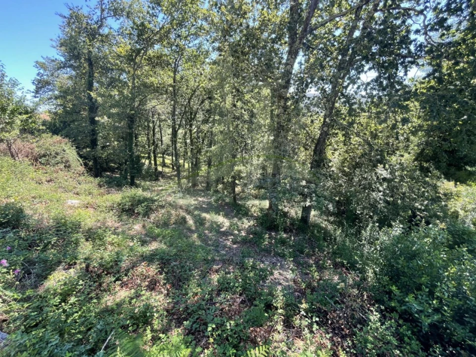 Terreno para Venda em Venade e Azevedo Foto 12