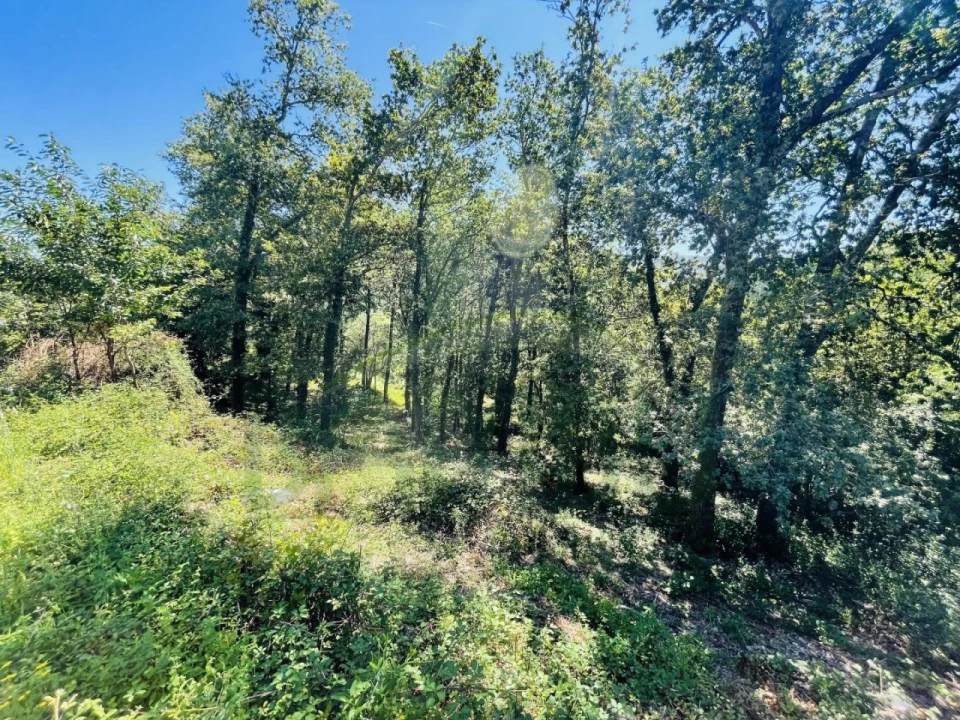 Terreno para Venda em Venade e Azevedo Foto 21