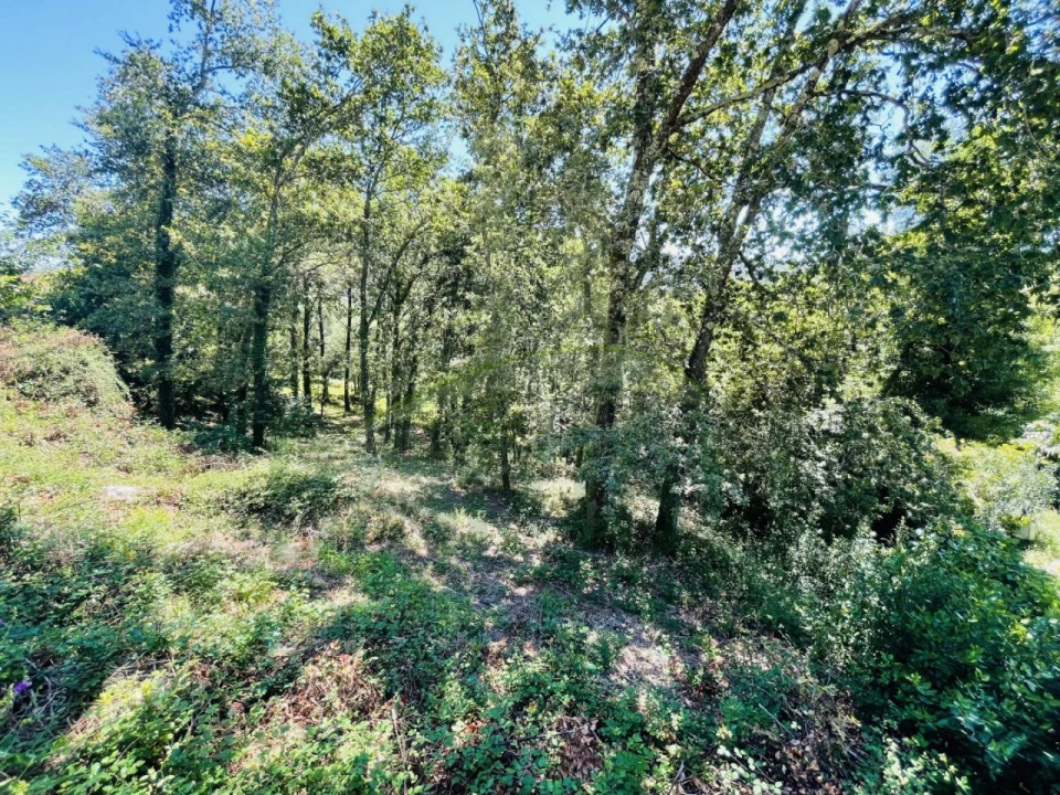 Terreno para Venda em Venade e Azevedo Foto 23