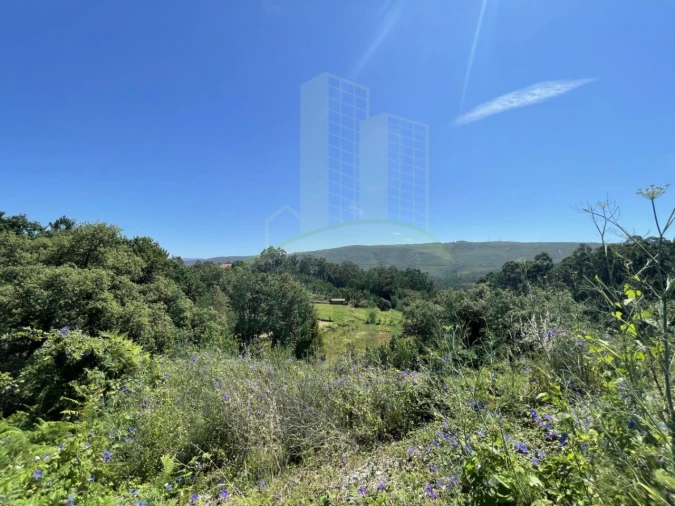 Terreno para Venda em Venade e Azevedo Foto 3