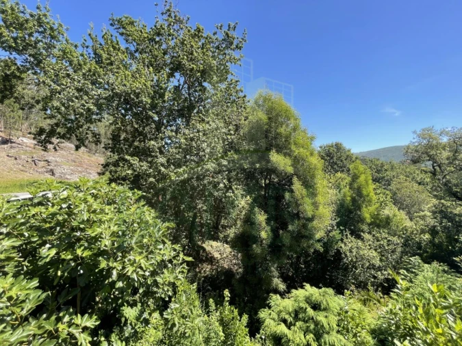 Terreno para Venda em Venade e Azevedo Foto 7