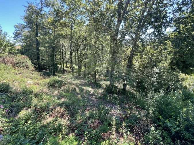 Terreno para Venda em Venade e Azevedo Foto 12