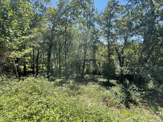 Terreno para Venda em Venade e Azevedo Foto 15