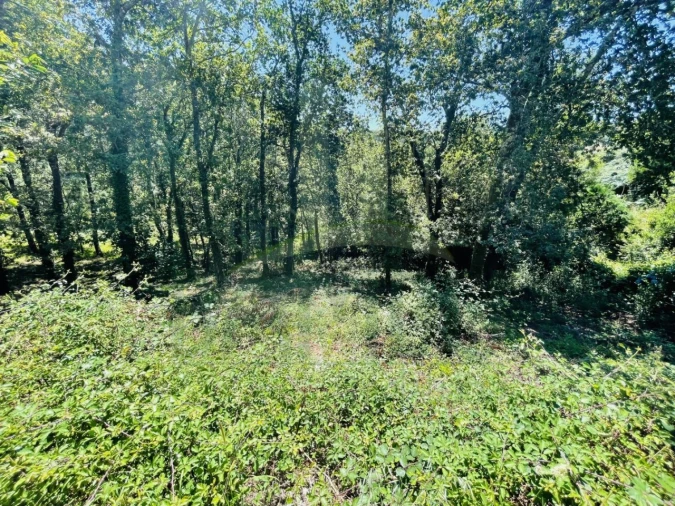 Terreno para Venda em Venade e Azevedo Foto 16