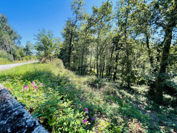 Terreno para Venda em Venade e Azevedo Foto 2