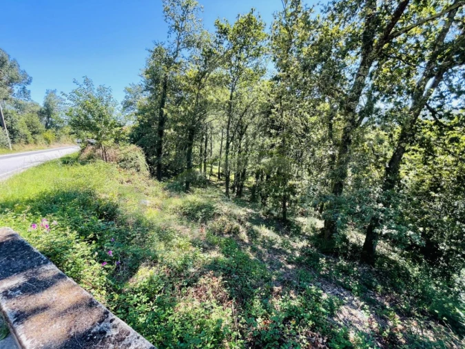 Terreno para Venda em Venade e Azevedo Foto 24