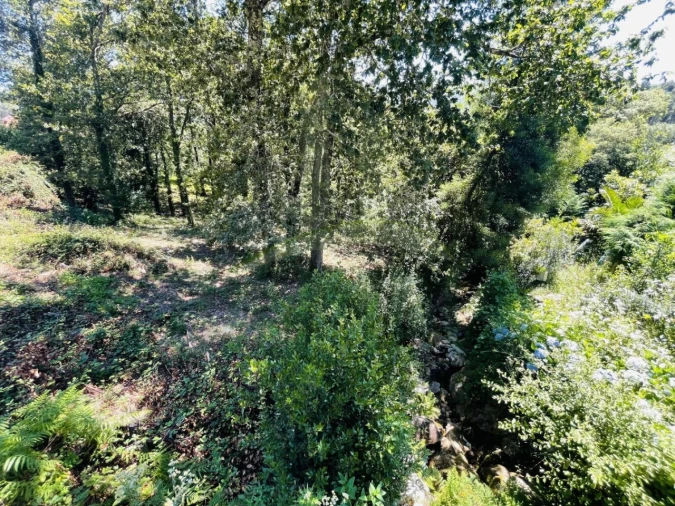 Terreno para Venda em Venade e Azevedo Foto 22