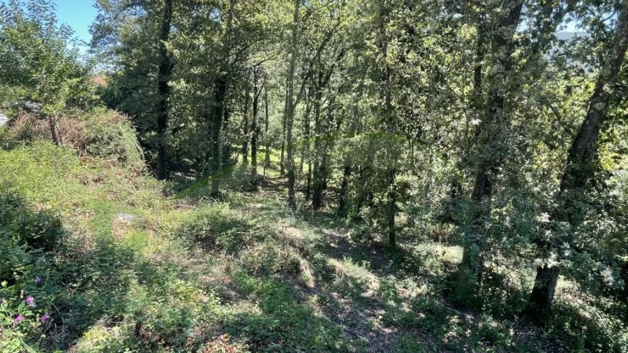 Terreno para Venda em Venade e Azevedo