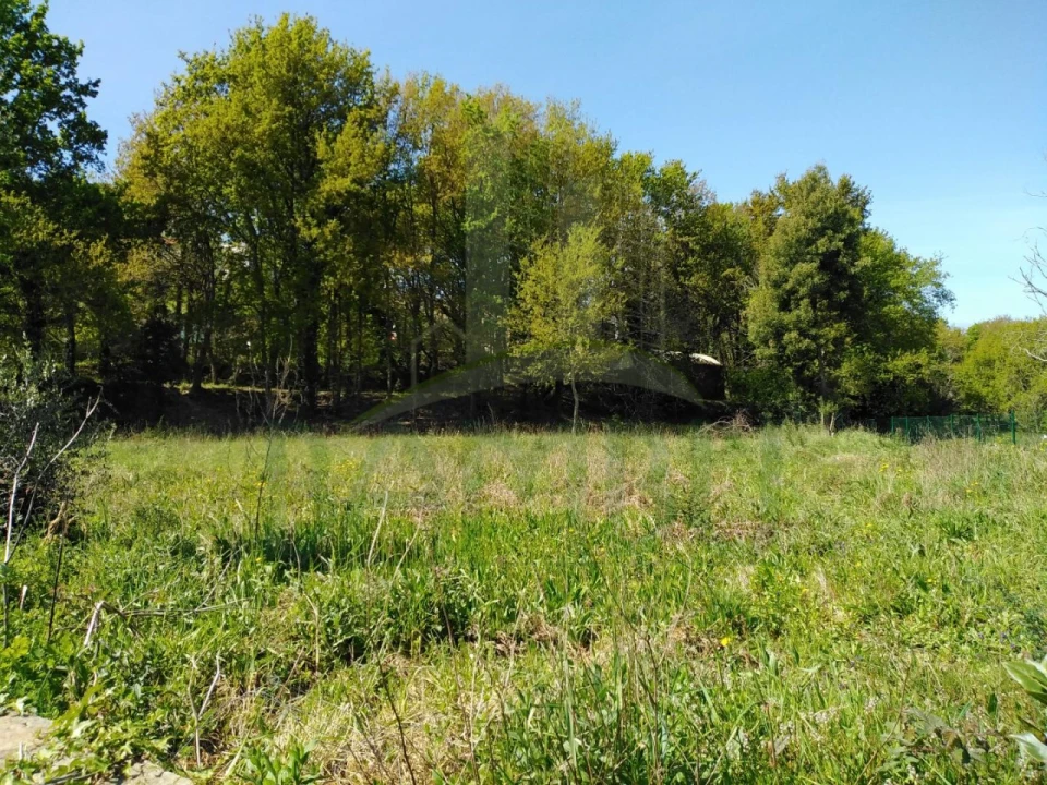 Terreno para Venda em Gondarem Foto 8