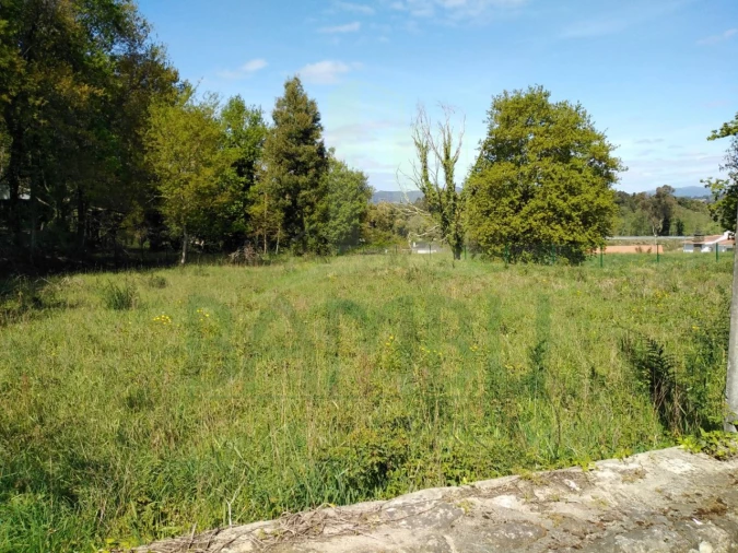 Terreno para Venda em Gondarem Foto 6