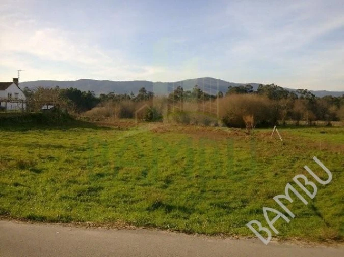 Terreno para Venda em Reboreda e Nogueira Foto 1