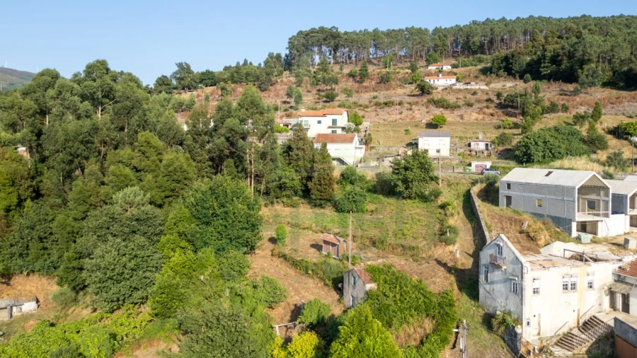 Terreno para Venda em Gondarem Foto 5