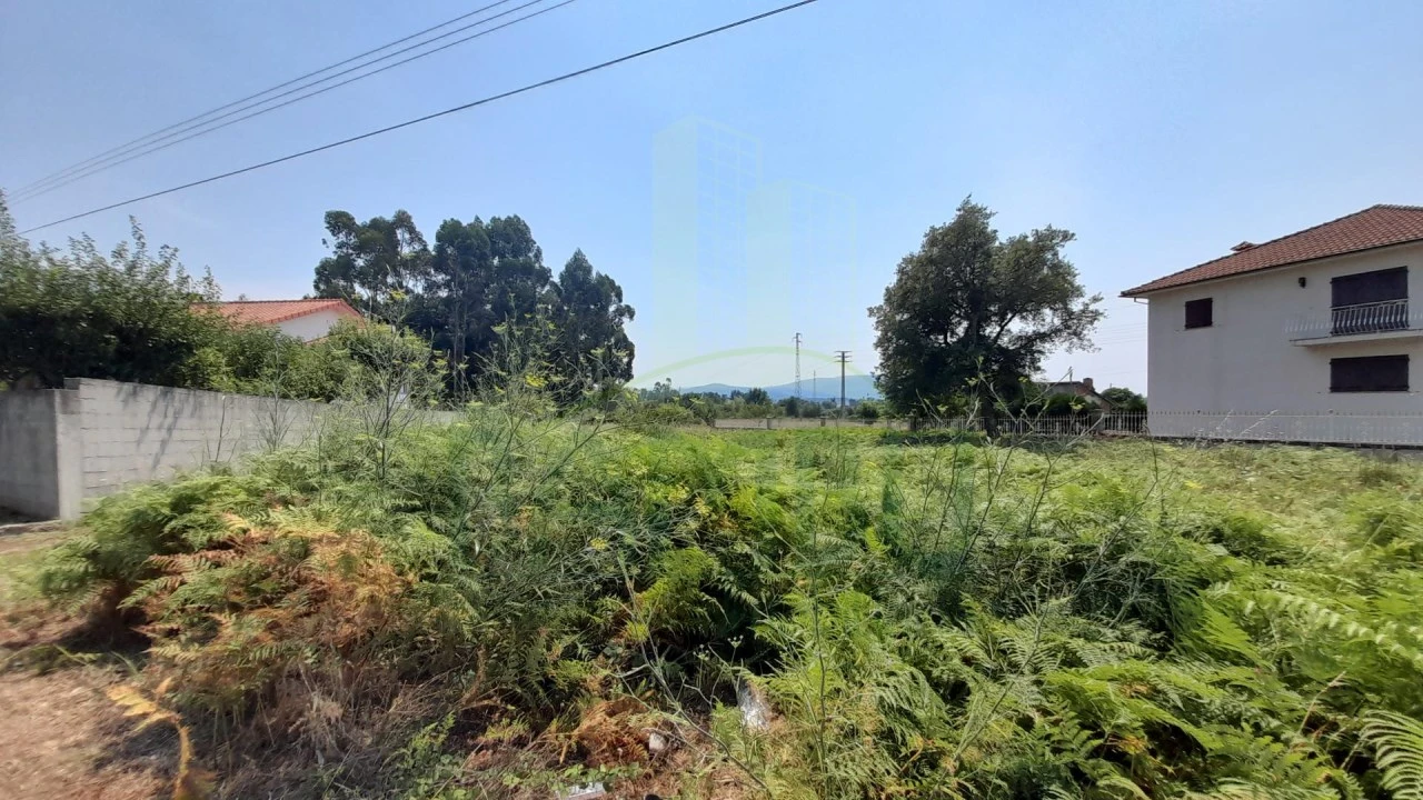 Terreno para Venda em Gandra e Taião Foto 4