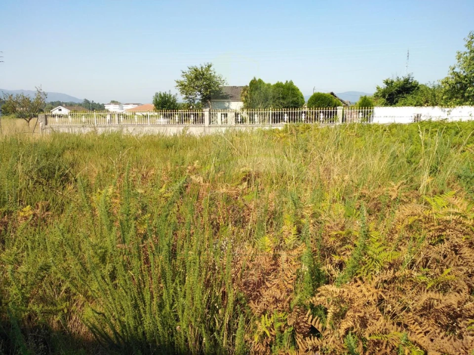 Terreno para Venda em Gandra e Taião Foto 6