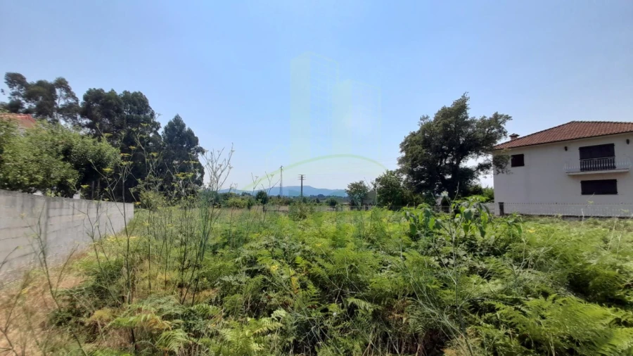 Terreno para Venda em Gandra e Taião Foto 3