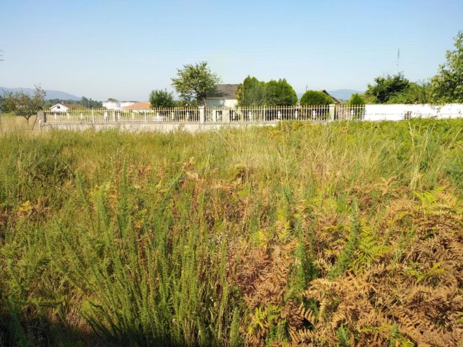 Terreno para Venda em Gandra e Taião Foto 6