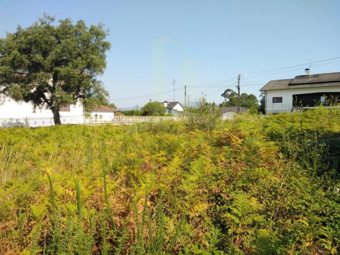 Terreno para Venda em Gandra e Taião Foto 7