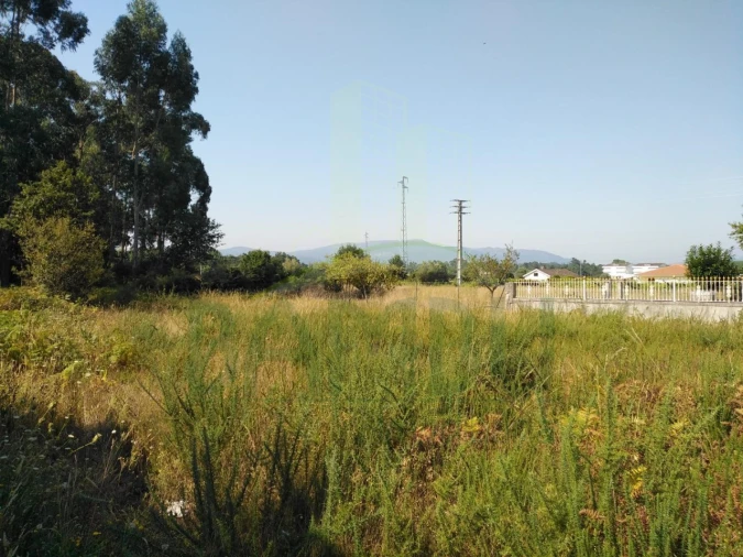 Terreno para Venda em Gandra e Taião