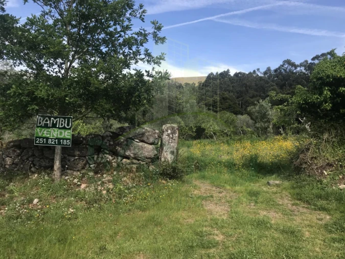 Terreno para Venda em Cerdal