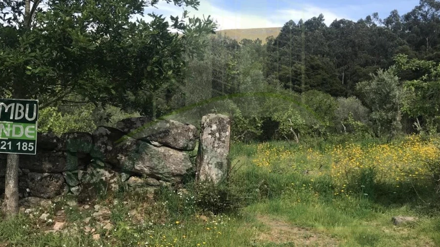 Terreno para Venda em Cerdal