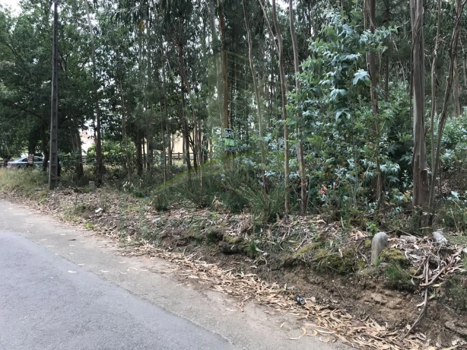 Terreno para Venda em São Pedro da Torre Foto 3