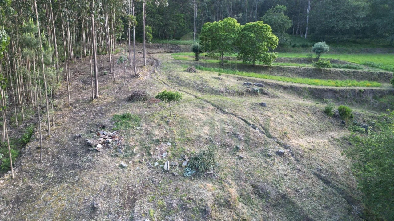 Terreno para Venda em São Julião e Silva Foto 8