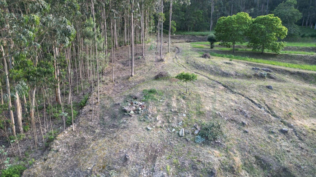 Terreno para Venda em São Julião e Silva Foto 9