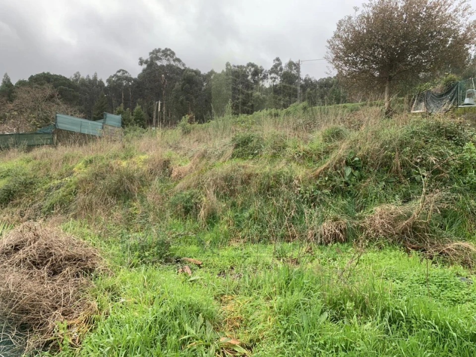 Terreno para Venda em Caminha (Matriz) e Vilarelho Foto 2