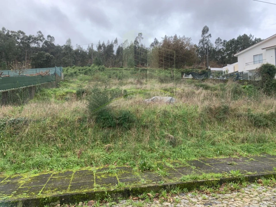 Terreno para Venda em Caminha (Matriz) e Vilarelho Foto 3