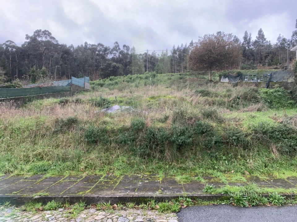 Terreno para Venda em Caminha (Matriz) e Vilarelho Foto 5