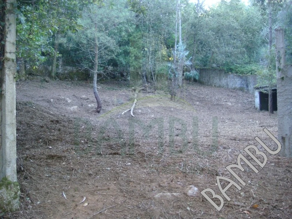 Terreno para Venda em Vilar de Mouros Foto 1