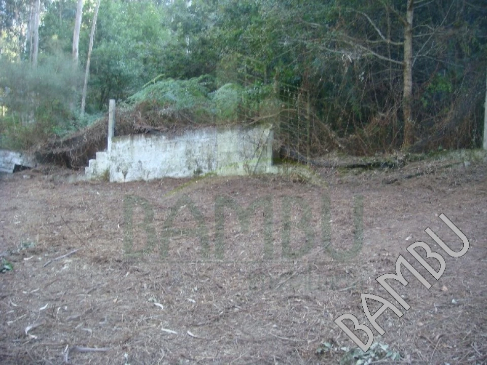 Terreno para Venda em Vilar de Mouros Foto 3