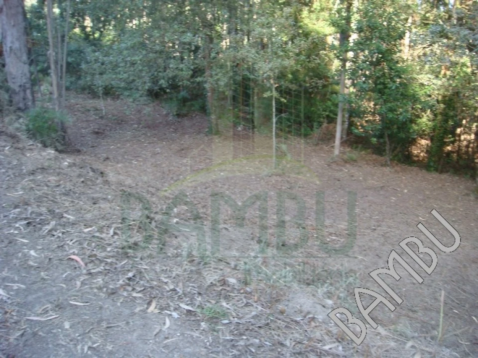Terreno para Venda em Vilar de Mouros Foto 5