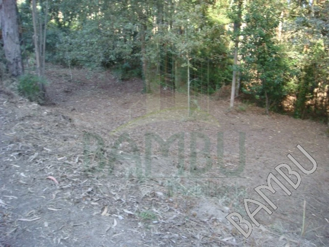 Terreno para Venda em Vilar de Mouros Foto 5