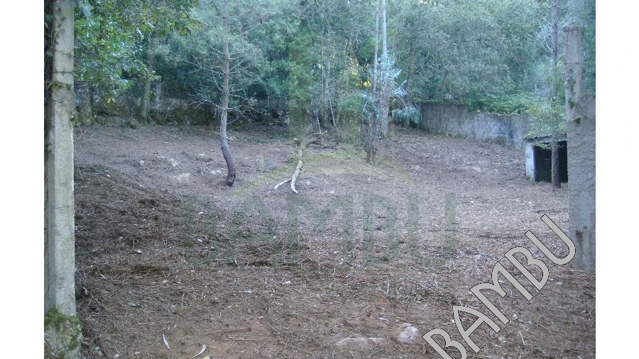 Terreno para Venda em Vilar de Mouros