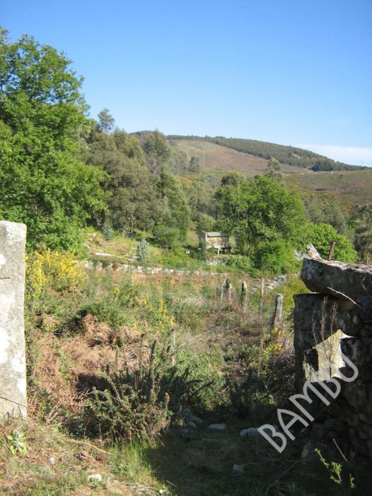 Terreno para Venda em Gandra e Taião Foto 7