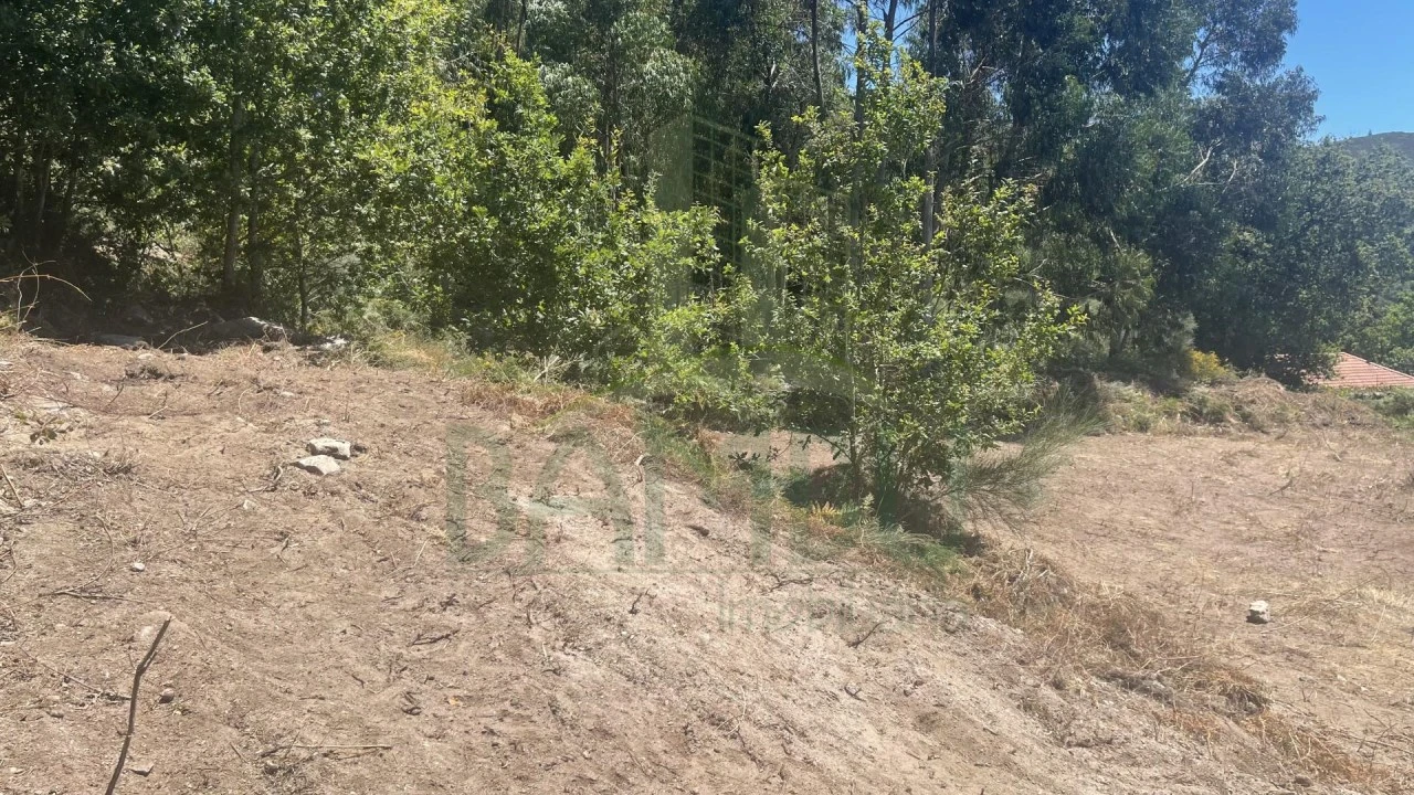 Terreno para Venda em Gandra e Taião Foto 2