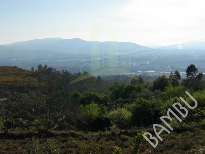 Terreno para Venda em Gandra e Taião Foto 4