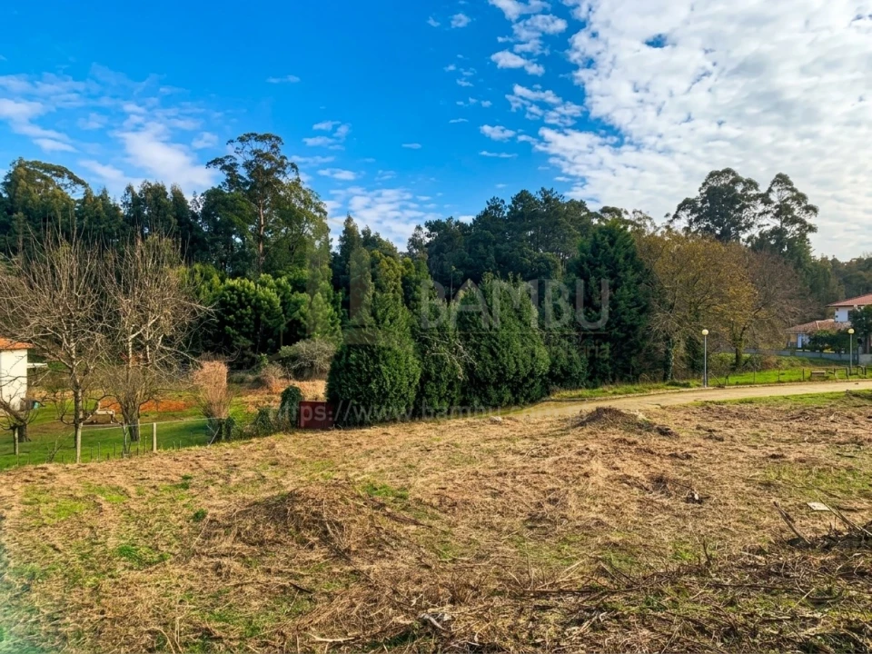 Terreno para Venda em Venade e Azevedo Foto 5
