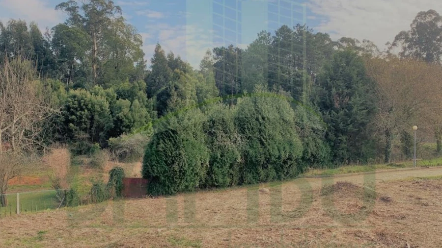 Terreno para Venda em Venade e Azevedo