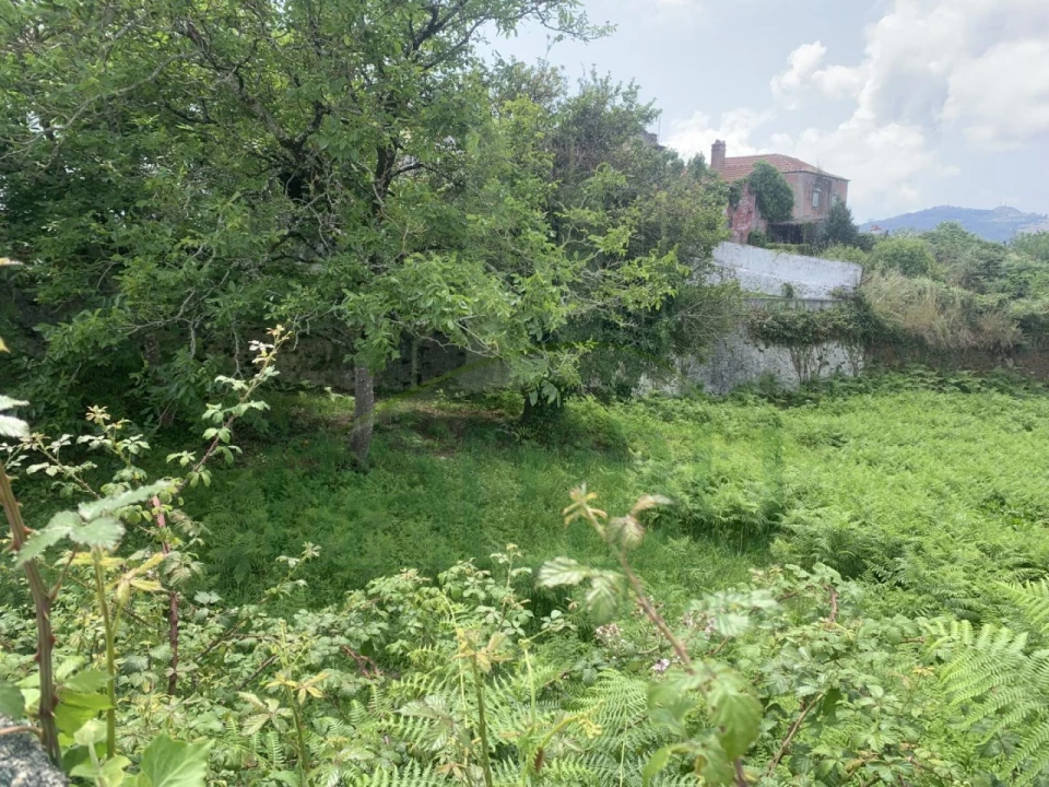 Terreno para Venda em Seixas Foto 4