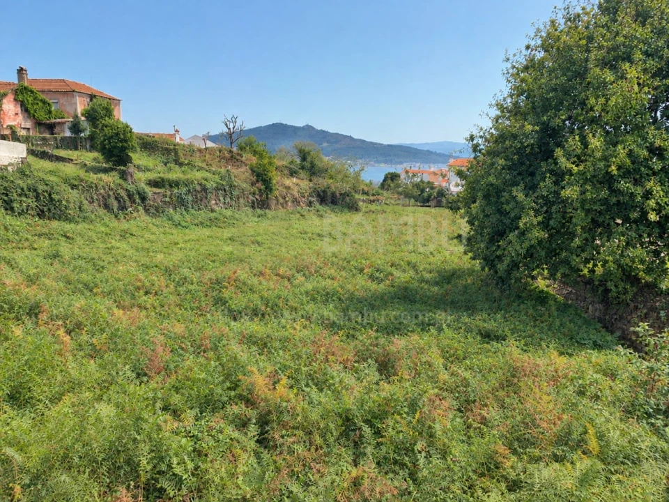 Terreno para Venda em Seixas Foto 1
